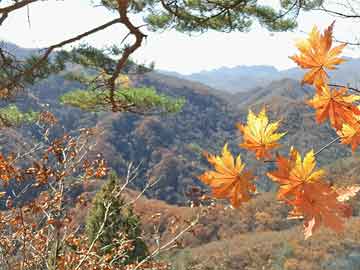 澳门彩票文化的发展与探索，2025年澳门天天彩正版免费大全及新奥天天开奖资料解析,2025年澳门天天彩正版免费大全_新奥天天开奖资料大全1052