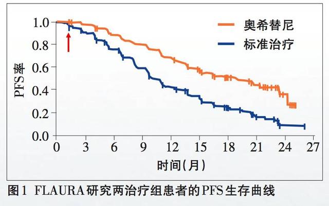 澳门新动态，迈向未来的精准资讯与免费服务展望（新闻）,2025年新澳门天天免费精准大全%词语释义解释落实 - 新闻