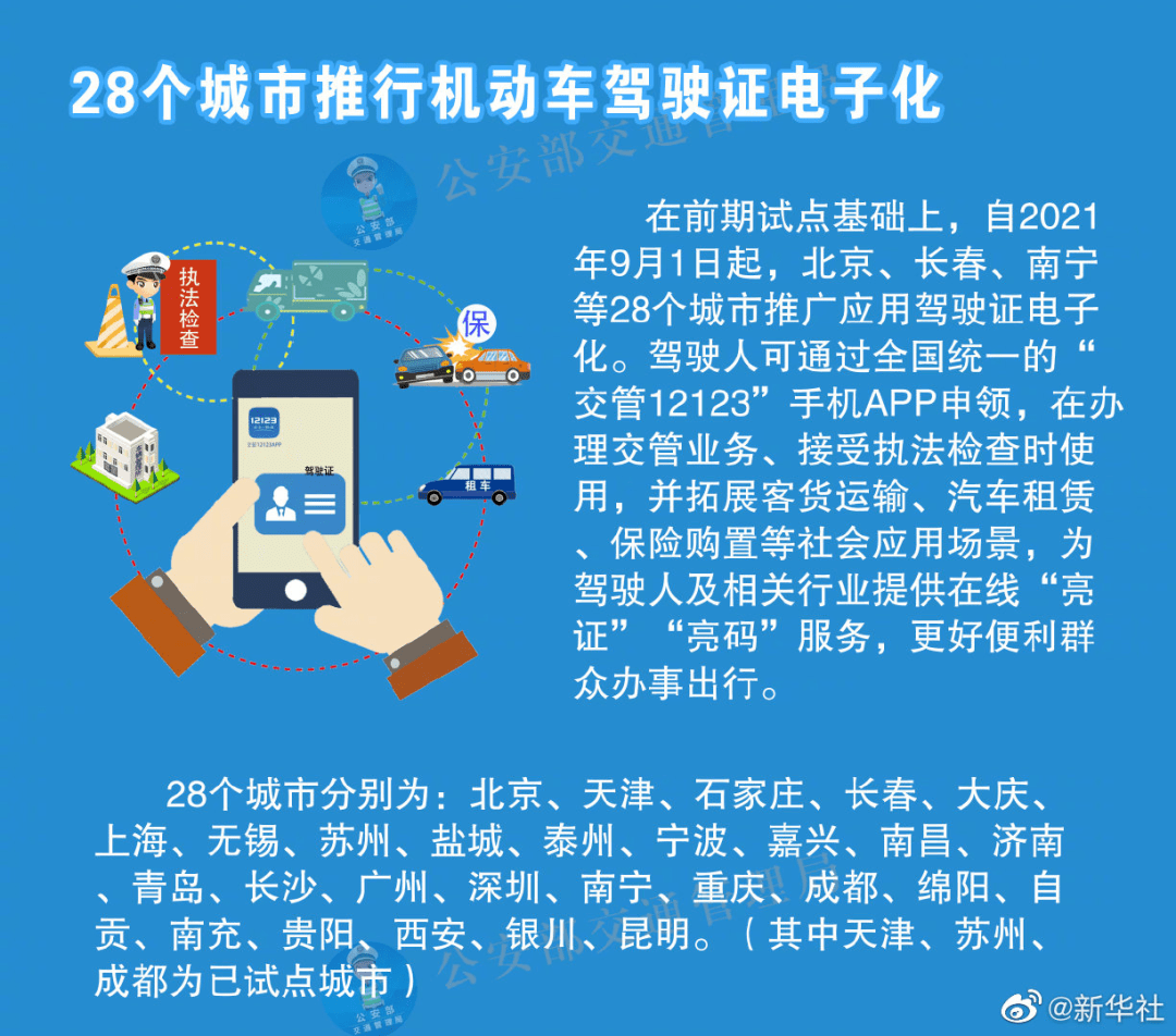 迈向2025，正版资料免费资料大全的全面释义与落实策略,2025全年正版资料免费资料大全,全面释义与落实策略