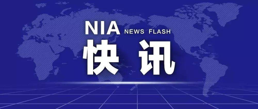 澳门与香港资料解析，警惕虚假宣传，正版资料的探索之旅,2025全年澳门与香港精准正版免费资料/警惕虚假宣传,精选解.